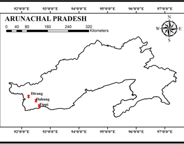 Diversity and bioactivity of endolichenic fungi isolated from three lichen species of Arunachal Pradesh, Indo-Burma belt 