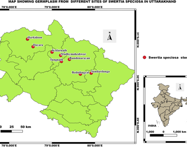 Genetic diversity assessment in medicinal herb Swertia Speciosa (Wall.Ex.D.Don) of higher himalayan region 
