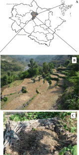 Soil carbon, Soil microbial activity, High throughput sequencing, Copiotrophs and oligotrophs, Himalaya