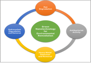 Nanotechnology and it’s applications in environmental remediation: an overview  