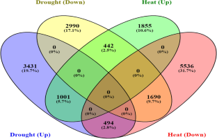 Identification and characterization of genes responsive to drought and heat stress in rice (Oryza sativa L.)  