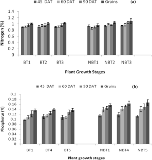  Evaluating the role of endophytic cyanobacterial isolates on growth promotion and N/P status of rice crop  