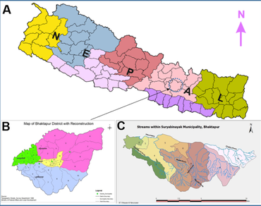 Ethnomedicinal exploration of plants utilized by the people of Suryabinayak Municipality in Bhaktapur District, Nepal  