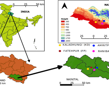Tree biomass and carbon stock in subtropical Sal forest of Central Himalaya, India  