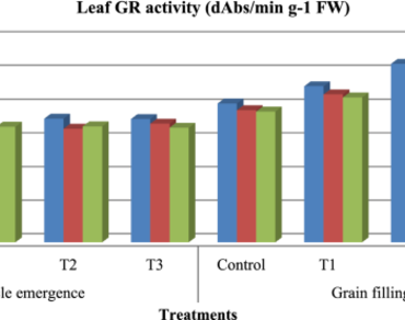 Chlorophyll fluorescence and antioxidants activity as influenced by zinc nutrition in wheat under late sown conditions 