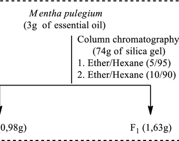 Chemical composition of the essential oil and isolation of two main constituents of Mentha pulegium L. 