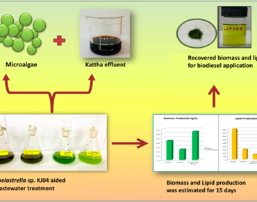 Algal biorefinery: an integrated process for industrial effluent treatment and improved lipid production in bioenergy application 