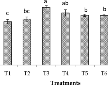 Effects of biochar and rice straw application on rice (Oryza Sativa L.) growth, yield, and cadmium accumulation in contaminated soil 