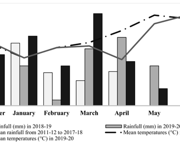 Weed competition, land equivalent ratio and yield potential of faba bean (Vicia faba L.)-cereals (Triticum aestivum L. and/or Avena sativa L.) intercropping under low-input conditions in Meknes region, Morocco 