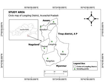 Nutrient analysis of some selected wild edible plants traditionally consumed by the Wancho tribe of Arunachal Pradesh, India 