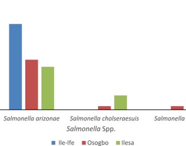 Bats, Salmonella species, Profile Index 20E Kit, Random amplified polymorphic DNA, Antibiotics susceptibility