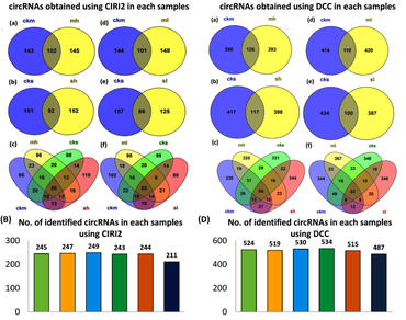 Circular RNAs, Non-coding RNAs, Weighted gene co-expression network analysis, Competing endogenous RNA (ceRNA), Endogenous target mimics, Transcription factors