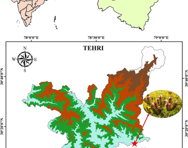 Addition, Taxonomy, Western Himalaya, Verbenaceae, Uttarakhand