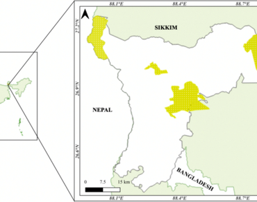 Prediction models using maximum entropy for suitable habitats in the present and future scenarios for rare and endemic Codonopsis affinis in Darjeeling eastern Himalaya 