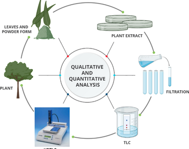 Qualitative and quantitative phytochemical screening and chemical fingerprint analysis of Conocarpus lancifolius plant using HPTLC 