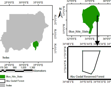 Current status of tree species diversity at Abu Gadaf Natural Forest Reserve, Blue Nile Region – Sudan 
