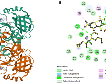 In-silico analysis of antiviral fungal inhibitors against Mpro receptor protein 