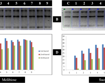 The improvement of PCR amplification pattern by PCR enhancers and formulation novel PCR enhancer
