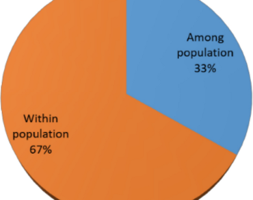 Genetic diversity and metabolic profiling of Maytenus emarginata Willd. plant parts and callus using RAPD, SSR markers and GC–MS
