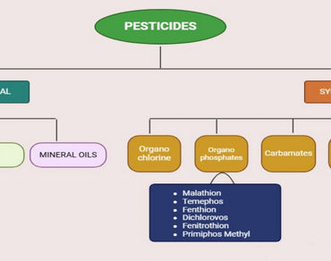 A concise review on microbial degradation of pesticides and organohalogen compounds: recent advances and current challenges 