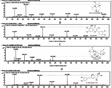 Medicinal plant, Phytoconstituents, n                     In silicon                  , Antibacterial and synergistic