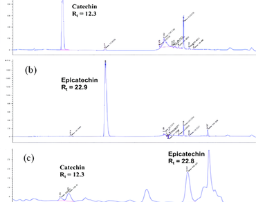 n                     Camellia chrysanthan                  , n                     C. chrysanthan                  , Nano-formulated powder (CNFP), Laser diffraction spectroscopy (LDS), Scanning electron microscopy (SEM), X-ray diffraction (XRD), Transmission electron microscopy (TEM), cytotoxic