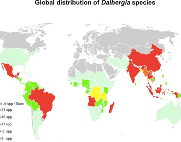 Preliminary checklist and distribution pattern of mycoendophytes from Dalbergia species 