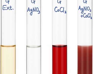 Modelling and green synthesis of Ag–Co bimetallic nanoparticles using red alga (Gelidiella sp.) and their colloidal interaction with human pathogens