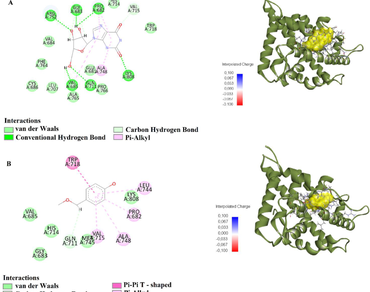 Antioxidant activity, bioavailability and toxicity evaluation, density functional theory, molecular dynamics, and molecular simulation of Neotinea tridentata flower extract