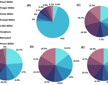 The dietary profile of major millets and their significance concerning lifestyle diseases 