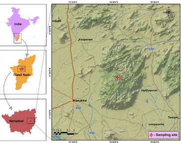 Pharmacognostical studies of the leaf and stem of Tetrastigma leucostaphylum (Dennst.) Alston ex Mabb. with special reference to soil chemistry