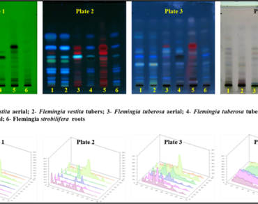Phytochemical differentiation of three species of the Flemingia genus