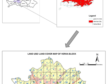 Exploration of ethnomedicinal practices of plant species for health care in Amritsar, Punjab, India