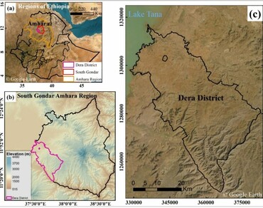 Assessing medicinal plants traditionally used in Dera District, South Gondar Amhara Regional State of Ethiopia