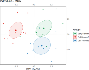 Genetic diversity of Tunisian male date palm (Phoenix dactylifera L.) genotypes through morphological traits and ISSR markers: new insights for future breeding programs