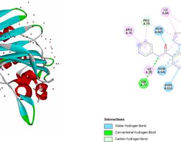 Phytochemical analysis, antihemolytic, antibacterial and ADMET properties of Teucrium capitatum L. and Thymus algeriensis Boiss. & Reut. secondary metabolites: in vitro and in silico study