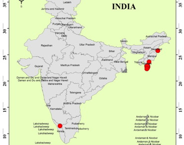 Frullania riojaneirensis (Marchantiophyta: Frullaniaceae) new addition to the Bryoflora of Nagaland, India and its red list assessment in India