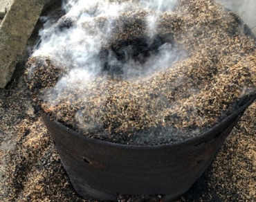 Effect of different charcoal incorporated growing media on the growth and yield performance of Brassica oleracea var. botrytis L