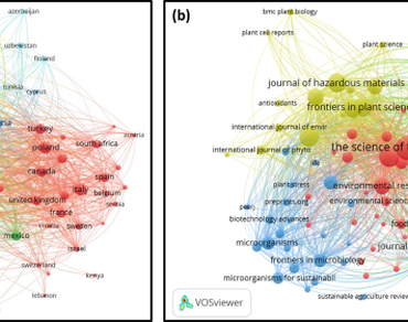 Unfolding pesticide toxicity: food safety, health risk, and sustainable agriculture