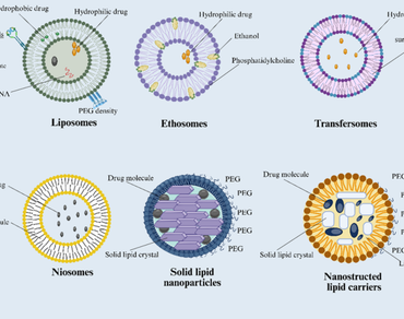 Solid lipid nanoparticles, Drug delivery systems, mRNA delivery, Preparation-characterization techniques