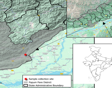 n                     Dillenia indica L., Phytochemistry, VEGFR2, Molecular docking, Kaempferol