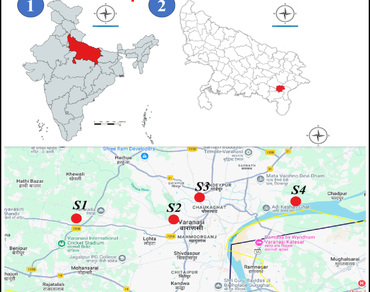 Algal diversity, Varuna river, Diatoms, Canonical correspondence analysis