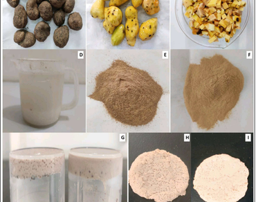 Impact of drying method on extraction, and characterization of protein extracted from the bulbils of air potato (Dioscorea bulbifera) and the synthesis of protein gel 