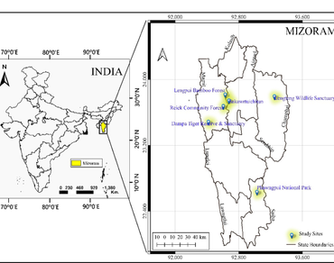 Conservation, Disturbance, Jhum land, Primary forest, Vegetation