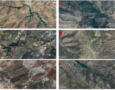 Phytochemicals, n                     Arum conophalloidesn                  , Essential oils, GC-MS, Medicinal plant, Ethnobotany