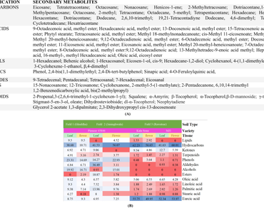 n                     Brassica juncean                  , Indian mustard, Secondary metabolites, Phytochemical analysis, GC‒MS, Soil composition