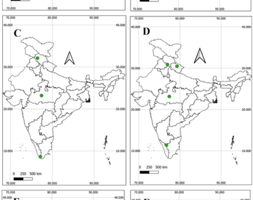 Diversity, Biomonitoring, Lecanorales, Taxonomy