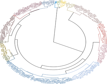 Cowpea, Genetic diversity, Quantitative traits, n                     Vigna unguiculatan                  , Mahalanobis D2 analysis, Genotype clustering