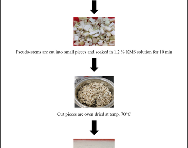 Banana pseudo-stem, Antioxidant activity, Phenolic compounds, Ultrasonication
