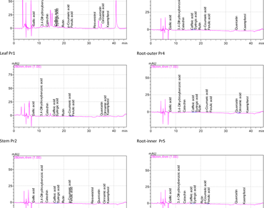Determination of chemical and bioactive properties, phenolic profiles and nutrient elements of the leaf, stem, crown-neck, root (inner and outer), tail and peel parts of of sugar beet plants 